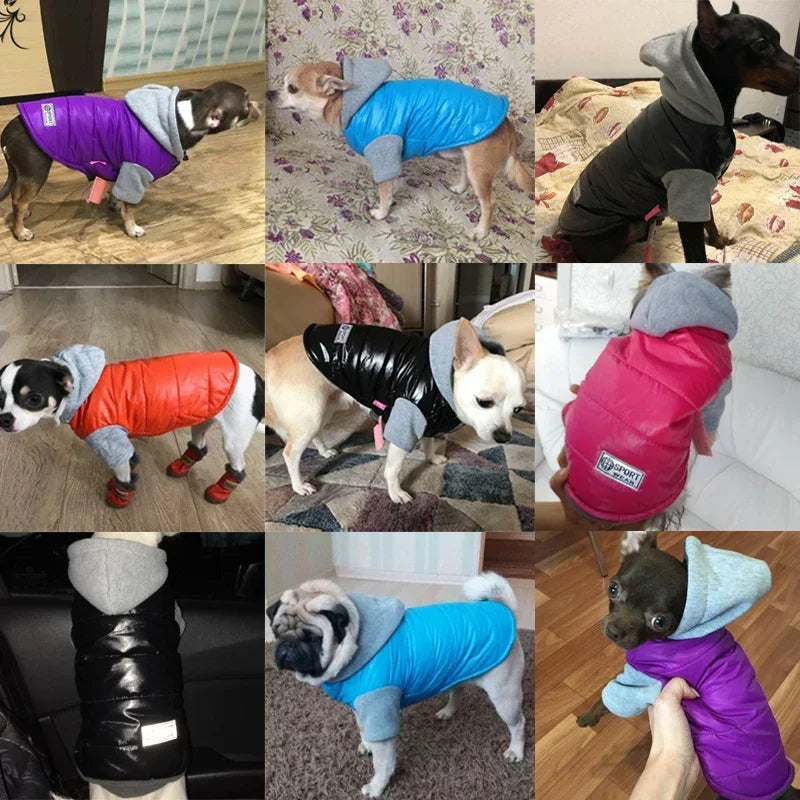 Autumn Winter Pet Clothes For Small Dogs Warm Puppy Pet Coat Jacket Waterproof Dog Hoodies Chihuahua French Bulldog Pug Clothing