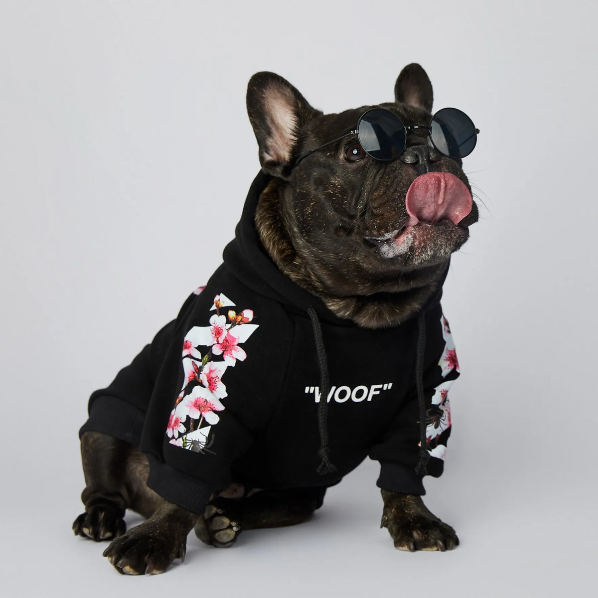 NONOR Dog Clothes WOOF Fashion Sakura Dog Jacket Pet Dog Hoodies Winter French Bulldog Pugs Sports Dog Jacket M-4XL